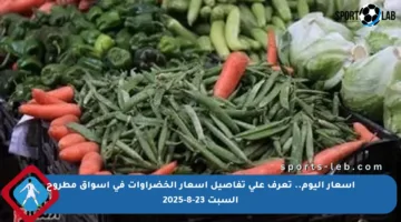 أسعار اليوم.. تعرف على تفاصيل أسعار الخضراوات في أسواق مطروح السبت 23-8-2025